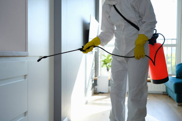 Best Mold Removal and Inspection  in Desnso, CA